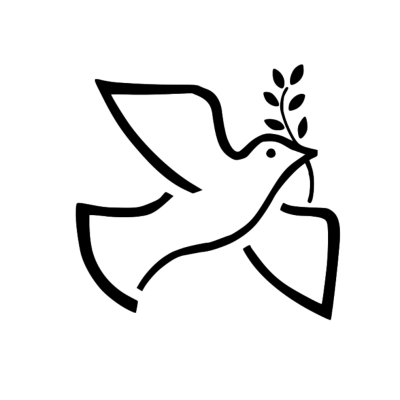 Qpay Image